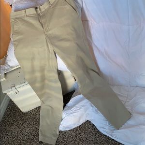 Express Dress Pants